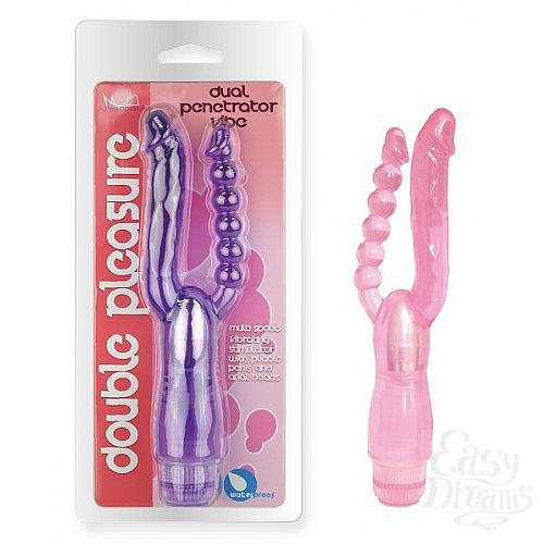  1:     Dual Panetrator