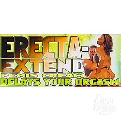  ���� �����������