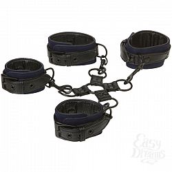 James Deen: Black & Blue - Total Submission James Deen: Black & Blue - Total Submission