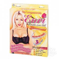  �������� ����-����� Envi  � 3 ��������� �����������