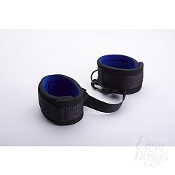  ������ ����� �� ���� �� ��������