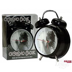  ���������  ������ 