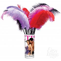  ���� Ff Love Plumes Pipedream