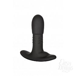    Eclipse       California Exotic Novelties, 12.7   