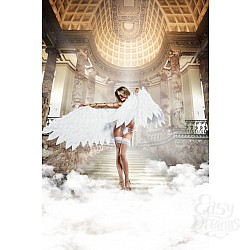  ����� ����� � ������ ����