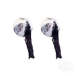  ���������� ������� � �������� ���������� YTS-55SLV