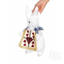  ������� "�������� ������"