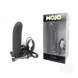  ������ ������� � ���������� Mojo Ghia