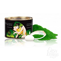  ���� ��� ������ "������ ������. ��������� ������������� ��������� ���� �������� ����" 600 ��