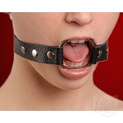  ����-������ ������ 3092-1