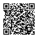    "  Wet Look Arm   Leg Band Set "  