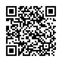    " Flash Blackberry ()"  