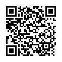 Скопировать адрес страницы "Батарейки AA Pleomax LR06 - 4 шт" на смартфон