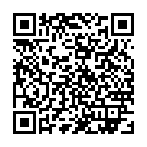    "  Stronic Surf - 20,3 ."  