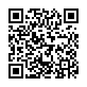    "  ARIA 0460-04 BX SE"  