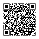    "  Stronic Surf - 20,3 ."  