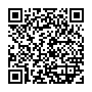    "  Stronic Surf - 20,3 ."  